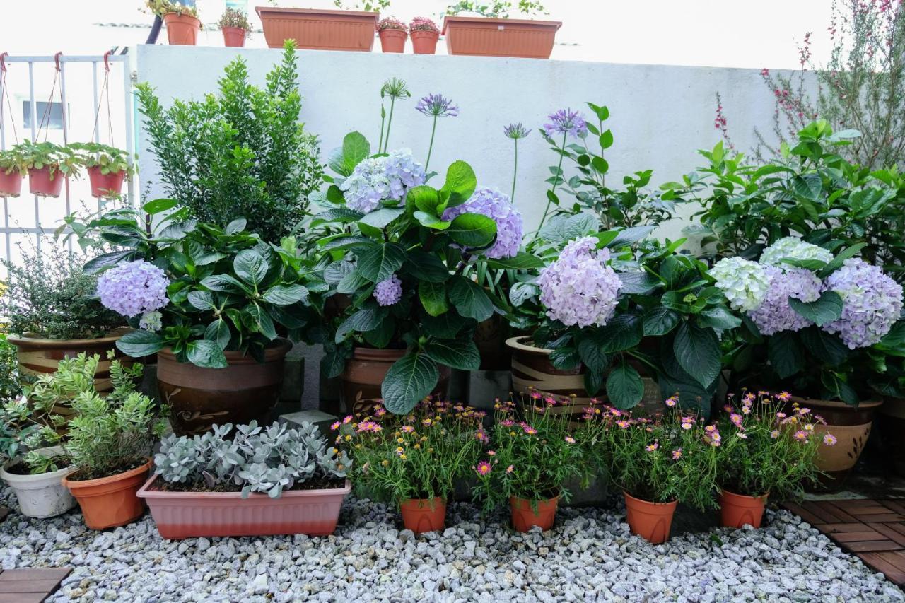 Comfy Sofy 21- Backyard Garden- Night Market Area 金马仑高原 外观 照片